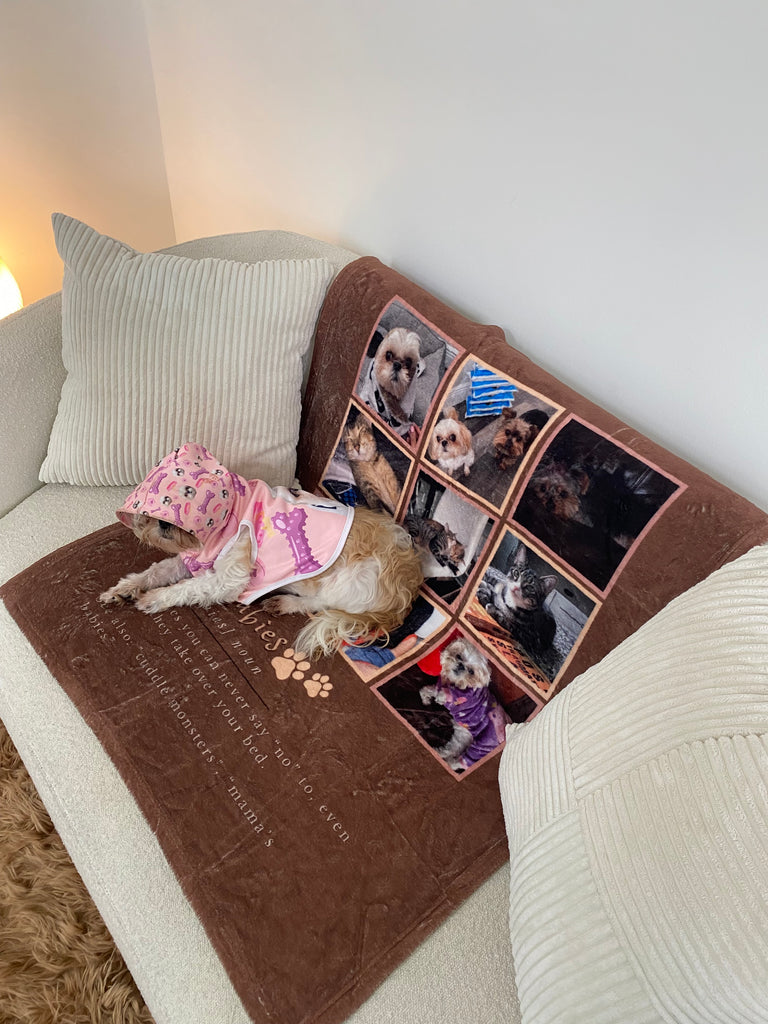 The Dreamkeeper Collection